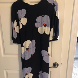 Ann Taylor dress